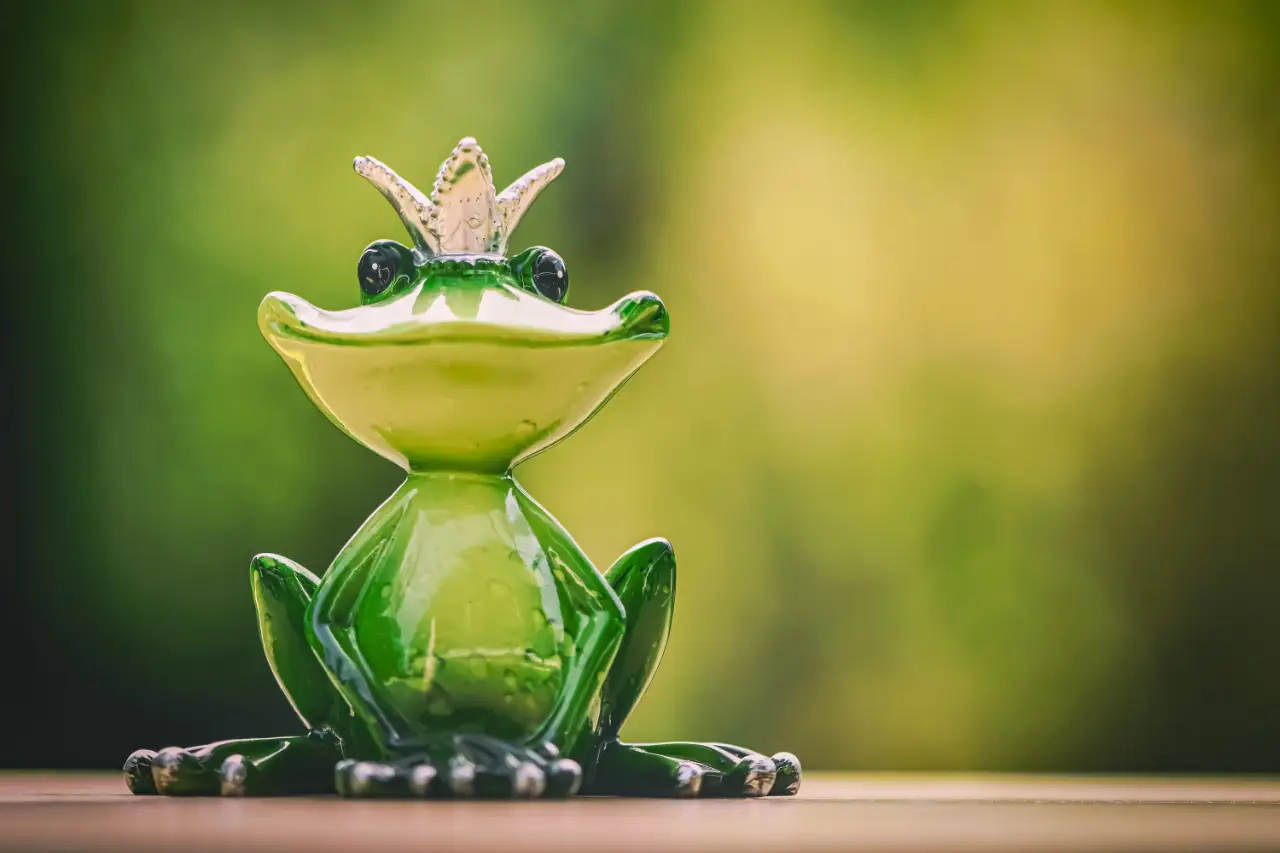 Grenouille qui se prend pour un roi NOBOOK